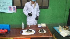 ciencia